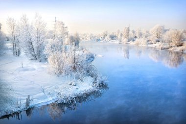 Trees on the banks of the river in white snowy frost on the banks of the river in the Moscow region on a winter sunny evening