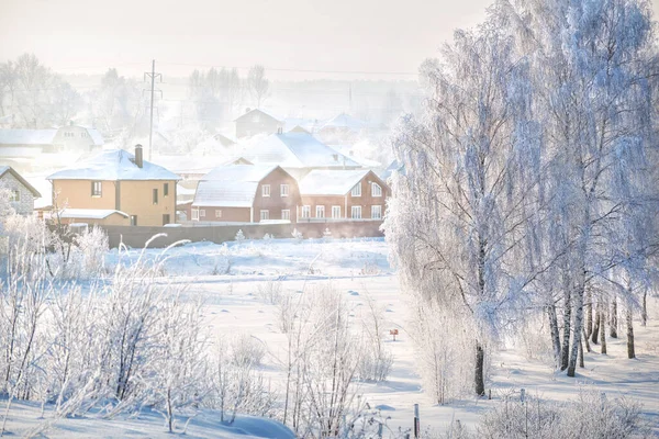Trees Houses White Snow Frost Moscow Region Sunny Winter Evening — ストック写真