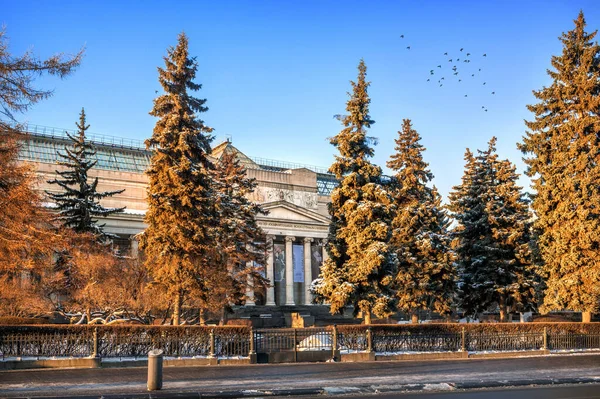 Museo Bellas Artes Lleva Nombre Pushkin Moscú Abeto — Foto de Stock