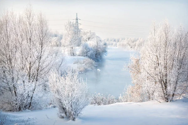 Trees Banks River White Snow Frost Moscow Region Winter Sunny — стоковое фото