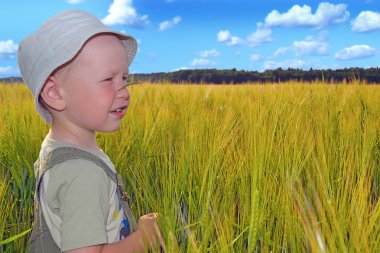 Çocuk bir buğday alanı