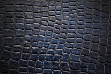 arka plan ve deri dokusu