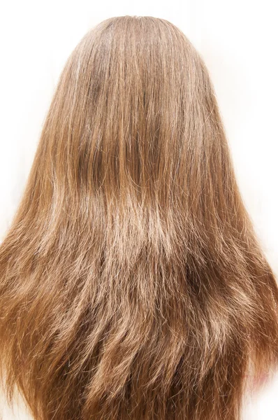 Μακριά μαλλιά — Φωτογραφία Αρχείου
