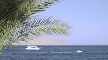 Mısır 'ın tatil beldelerinden birinde deniz manzarası. Dalları sallanan palmiye ağaçları, mavi deniz ve tekneler.