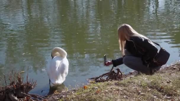 Μια Νεαρή Τουρίστρια Περπατά Στο Πάρκο Και Βλέπει Ένα Μεγάλο — Αρχείο Βίντεο