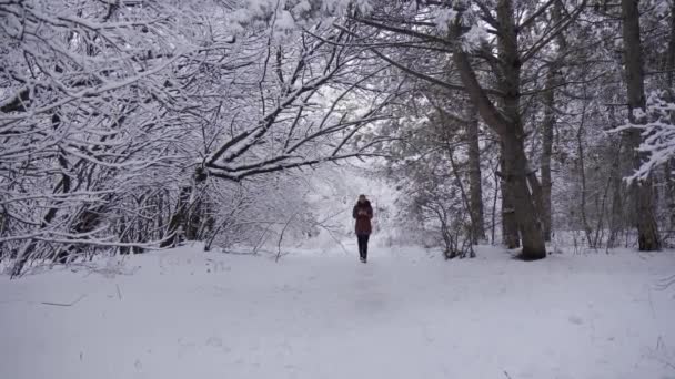 Middle Aged Woman Walks Alone Snow Covered Forest She Holds — Stockvideo