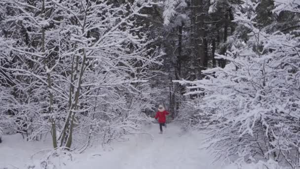 Playful Young Girl Running Winter Forest She Smiles Enjoys Relaxing — Stockvideo