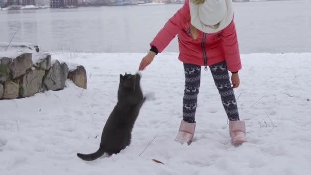 Een Jong Meisje Loopt Winters Met Haar Kat Sneeuw Liefde — Stockvideo