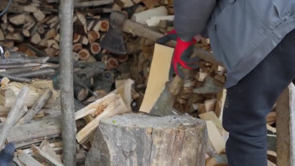 Cortar madera con un hacha en el campo. — Vídeo de stock