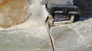 Elektrikli testereyle odun kesiyorum.. 