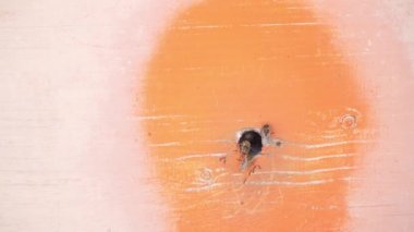 Arılar kovandaki küçük bir delikten sürünerek geçiyorlar. Eklemek için boş alanı olan üniforma arkaplanı. Arı yetiştirme ve bal üretme kavramı.