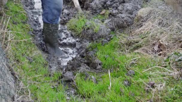 一个穿橡胶靴的人用铲子清理一条水沟 肮脏和繁重的体力劳动 — 图库视频影像