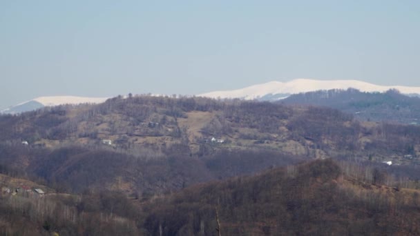 Widok Ośnieżone Szczyty Górskie Oddali Panoramiczne Zdjęcia Karpat — Wideo stockowe