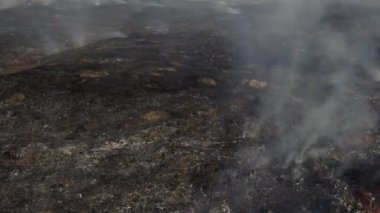 Orman yangınından çıkan yoğun duman. Bombardımandan sonra toprağı yaktı. Yanan çimenler ve alevler. Askeri eylemlerin sonuçları.