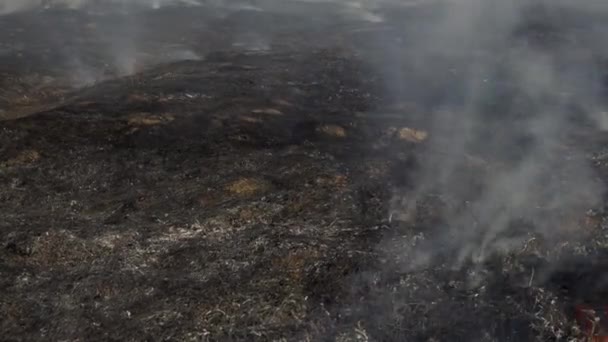 Kraftig Røg Fra Skovbrand Brændt Jord Efter Beskydning Brændende Græs – Stock-video