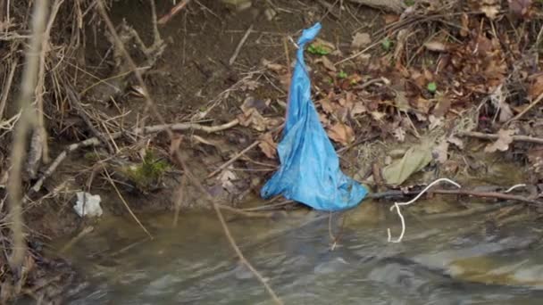 川岸の木の枝に青いビニール袋が絡まっている ゴミによる環境汚染の問題 — ストック動画