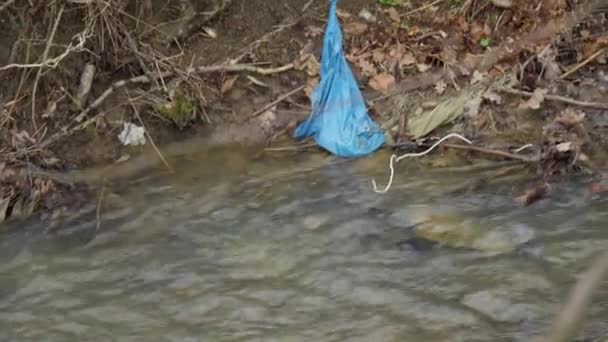 Sebuah Kantong Sampah Plastik Biru Terjerat Cabang Cabang Pohon Tepi — Stok Video