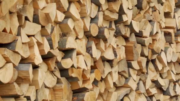 Yığılmış Odunların Dokusu Yakacak Odunları Isıtmaya Hazırlanıyorum Kameranın Düzgün Istiflenmiş — Stok video