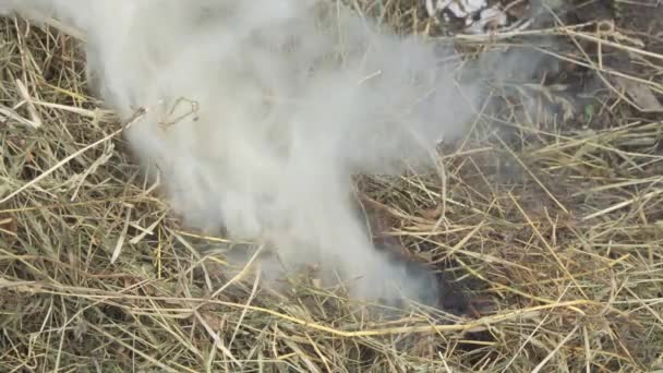 Fumo Branco Espesso Ignição Palha Seca Incêndio Começou Devido Manuseio — Vídeo de Stock