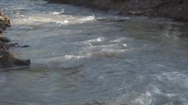 A wooded area through which a river flows. The flow of a mountain river.