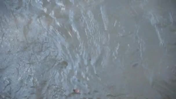 Superficie Del Río Con Fuerte Flujo Agua Flujo Rápido Río — Vídeo de stock