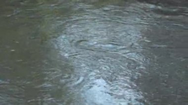 Güçlü su akışıyla nehir yüzeyi. Bir dağ nehrinin hızlı akışı. Su dokusu.