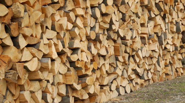 Neatly stacked firewood harvested for the heating season.