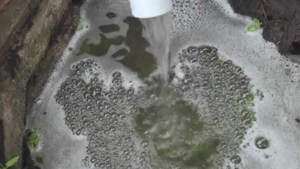 Dirty Foam Water Flows Out Sewer Pipe Problem Sewage Pollution — Stock Video