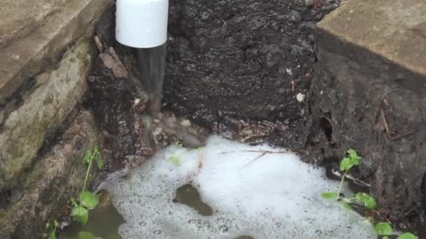 Dirty Foam Water Flows Out Sewer Pipe Problem Sewage Pollution — Stock Video