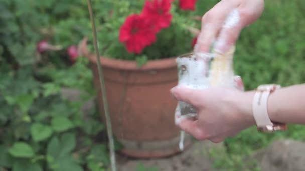 Kobiece Ręce Myją Kubek Pod Wodą Kranu Zewnątrz Wysokiej Jakości — Wideo stockowe