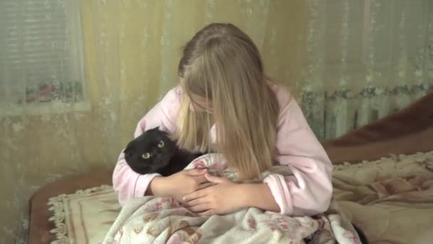 Skolåldern Flicka Stenar Katt Insvept Filt Hennes Armar Vänskap Och — Stockvideo