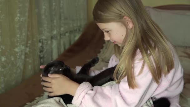 Młoda Dziewczyna Bawi Się Swoim Kotem Wideo — Wideo stockowe