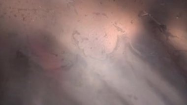 Çamaşır makinesindeki bulanık hareket. Ön planda cam üzerinde akan su var.