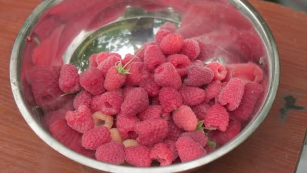 Raspberry Picking Bowl Delicious Red Berries Close Camera Slowly Pulls — Video
