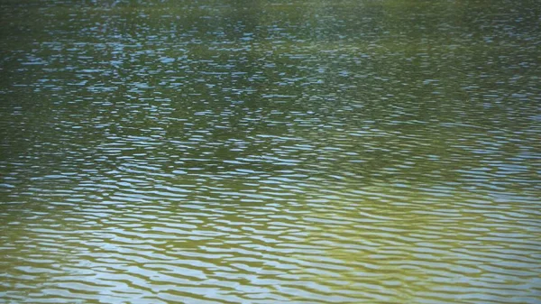 Texture, ripples on surface of water in which green color of trees is reflected.