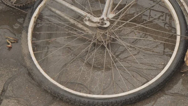 Sehr Dreckiges Rad Nach Spaziergang Bei Schlechtem Regenwetter — Stockfoto