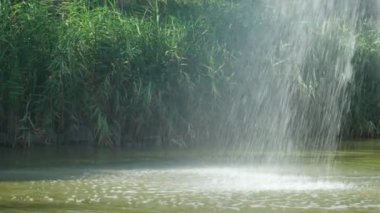 Splashes from waterfall fall on surface of small lake against background of lush greenery. Sunny weather, light wind.