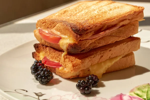 Hot sandwich with cheese on plate