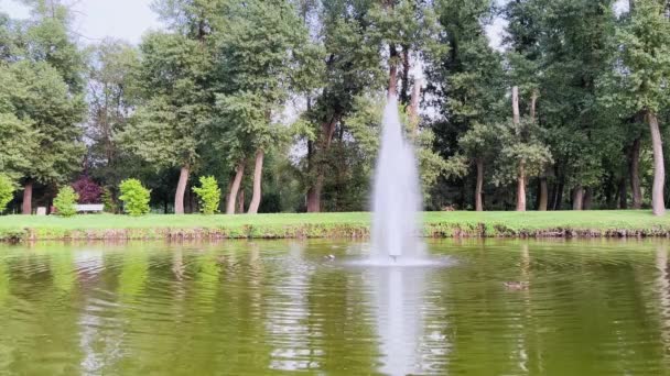Small Fountain Center Pond Park Surrounded Green Vegetation — ストック動画