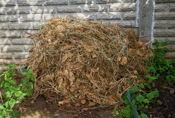 Compostagem Grama Seca Velha Coletada Montão Quintal Casa — Fotografia de Stock