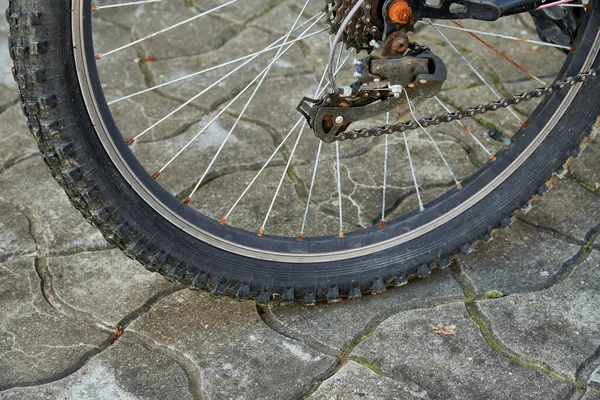 Rueda Bicicleta Con Banda Rodadura Pronunciada Radios Ligeramente Oxidados — Foto de Stock