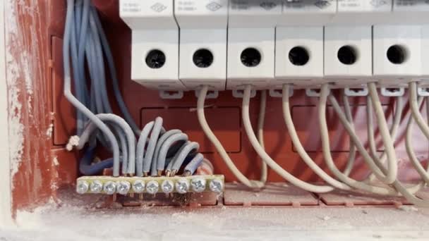 Kabel Listrik Diarahkan Pemutus Sirkuit Dalam Kabinet Listrik — Stok Video