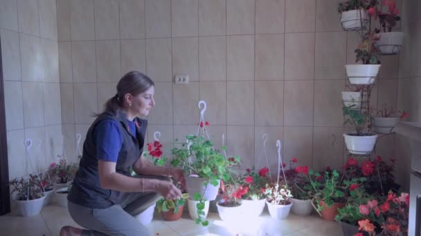 Kvinna Odlar Blommor Till Sin Lilla Butik Hon Undersöker Blommorna — Stockvideo