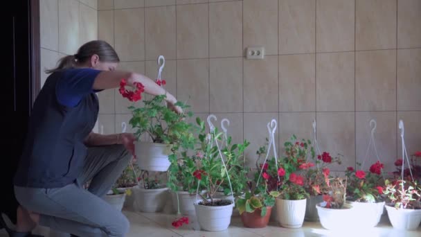 Une Femme Prend Soin Des Fleurs Elle Cultivées Pour Boutique — Video