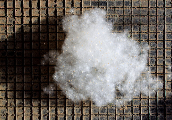 Облако пуха на черном клетчатом фоне
