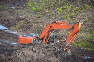 tarak çalışmaları