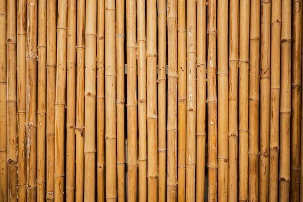 Cerca Velha Bambu Amarelo Fundo Textura Parede Bambu Para Design — Fotografia de Stock