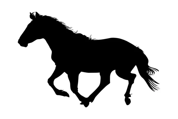 黒い馬のベクトル図のシルエット — ストックベクタ