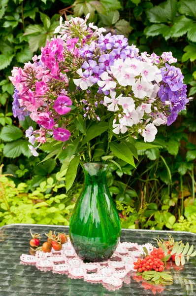 Still life bouquet of phlox and apples — Stock Photo, Image