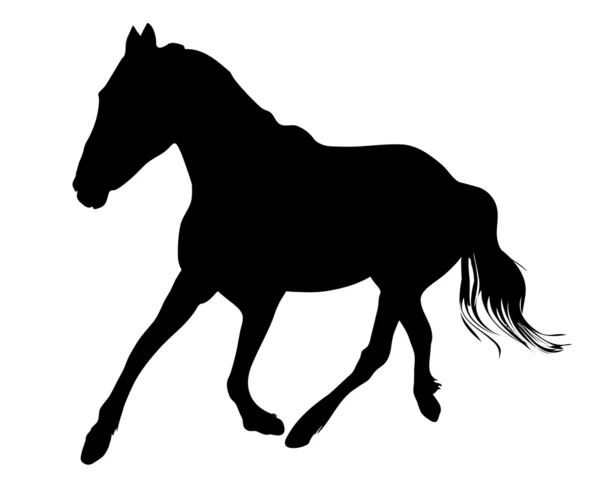 Силуэт векторной иллюстрации чёрного коня — стоковый вектор
